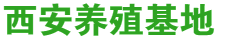 品味个性西安桑拿文化